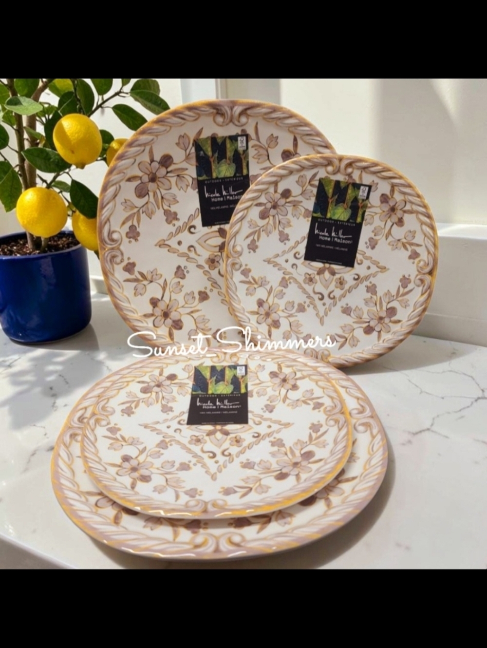 4 Nicole Miller Tuscan Floral Scroll MELAMINE Plate Set ~ 2 Dinner & 2 Salad New